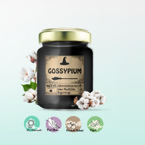 Gossypium – Fleur De Coton