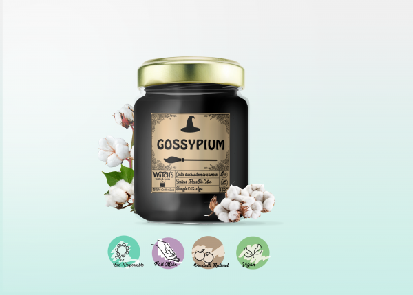Gossypium - Fleur De Coton