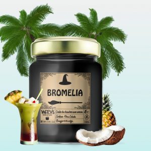 Bromelia 🍍🌸 – Piña Colada – une évasion tropicale en bougie