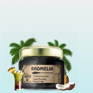 Bromelia 🍍🌸 – Piña Colada – une évasion tropicale en bougie