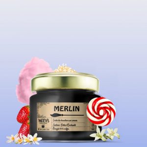 Merlin – Délice Enchanté