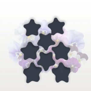 Fondant Parfumé – Jardin d’Endora – Ambre Gris