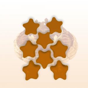 Fondant Parfumé – Sortilège de Gaïa – Galette des Rois