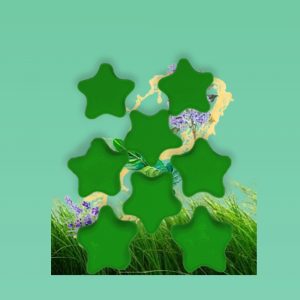 Fondant Parfumé – Artémis – Essence Verte