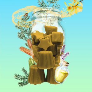 Fondant Parfumé – Esprit de la Forêt – Bois Majestueux