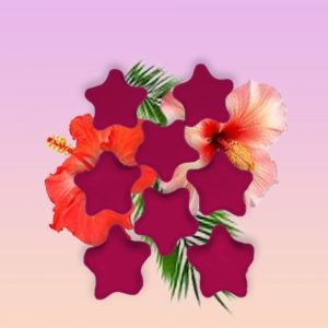 Fondant Parfumé – Litha – Élégance Tropicale | Edition Limitée