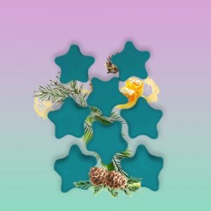 Fondant Parfumé – Pari – Atmosphère Envoûtante