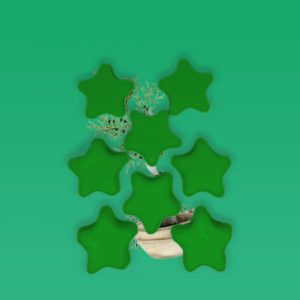 Fondant Parfumé – Cerridwen – Envoûtement des Forêts