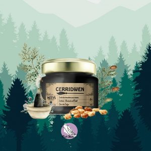 Cerridwen – Envoûtement des Forêts