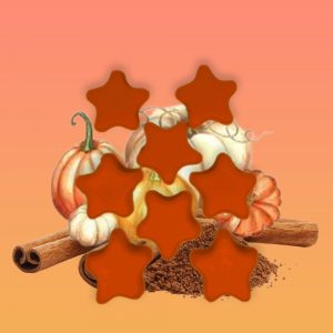 Fondant Parfumé – Potion d’Automne – Magie automnale
