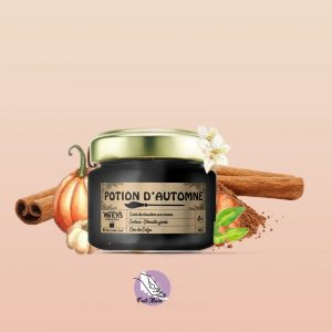 Potion d’Automne – Magie automnale