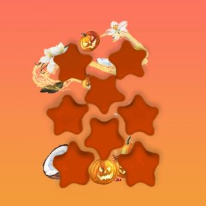 Fondant Parfumé – Samhain – Mystère et Tradition