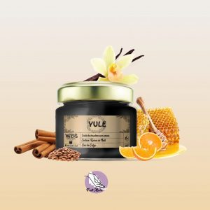 Yule – Renouveau et Lumière