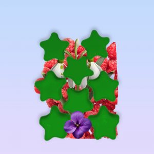 Fondant Parfumé – Clarisse