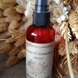 Brume d’Ambiance Enchantée ✨