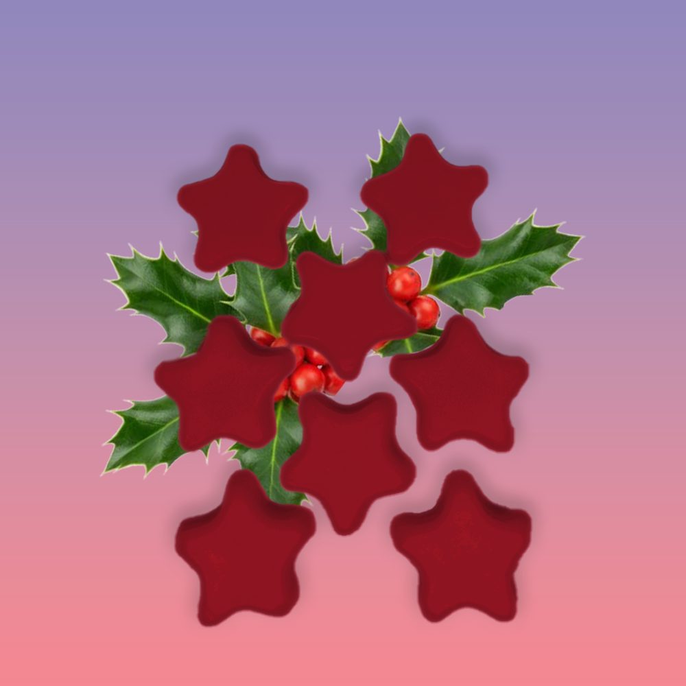 Fondant parfumé Holda - Magie d’Hiver & Douceur Enchantée – Image 2